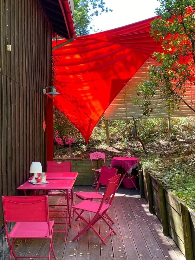 Ferienwohnung Le Loft Au-Dessus Des Pins Lacanau Exterior foto